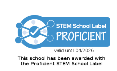 stem proficient