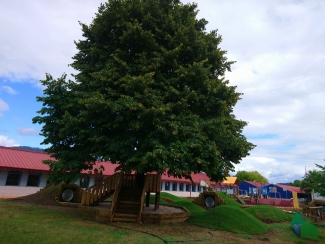 Área de juego natural