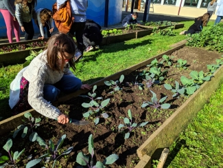Preparando la huerta de la ikastola